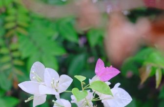 [☕️🇻🇳] Hanoi Roastery-We are Processing Fresh Coffee 🥤 Top1Coffee ☕️ Sau cơn mưa dài vừa dứt
Bầu trời lại đổi sáng
Trái tim của tớ
Cũng trở nên tươi sáng hơn
…..
179 Trích Sài, Tây Hồ, Hà Nội
#co , shares-0✔️ , likes-6❤️️ , date-2022-07-15 07:17:28🇻🇳🇻🇳🇻🇳📰🆕