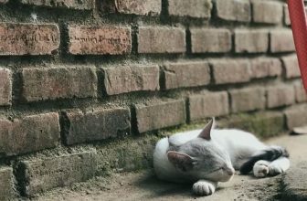 [☕️🇻🇳] 22 phẩy 5 coffee 🥤 Top1Coffee ☕️ Nhà Phẩy- không những là ngôi nhà nhỏ bán cà phê mà còn là nơi lưu giữ những dòng cảm xúc.
Nơi đây:
Có một Ngừoi Đà Lạt sống t , shares-1✔️ , likes-25❤️️ , date-2022-07-31 11:03:29🇻🇳🇻🇳🇻🇳📰🆕