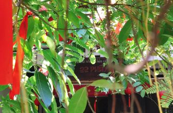 [☕️🇻🇳] 22 phẩy 5 coffee 🥤 Top1Coffee ☕️ “Em thương mến,
Không có gì để vội
Lá vẫn xanh than thản hát trên cành
Có những lúc ta chỉ cần phải đợi
Kẻo vội vàng đôi lú , shares-4✔️ , likes-32❤️️ , date-2022-08-03 02:59:43🇻🇳🇻🇳🇻🇳📰🆕