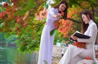 [☕️🇻🇳] Paris Coffee 🥤 Top1Coffee ☕️ Tìm về ký ức
CHÚNG MÌNH VỀ TÌM KÝ ỨC NGÀY XANH.
Chúng mình về tìm ký ức ngày xanh
Nhặt cánh phượng ghép thành đôi bướm nhỏ
Nh , shares-0✔️ , likes-0❤️️ , date-2022-08-14 00:13:13🇻🇳🇻🇳🇻🇳📰🆕