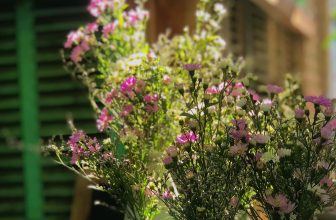 [☕️🇻🇳] 22 phẩy 5 coffee 🥤 Top1Coffee ☕️ 𝔻𝕒̀ ℕ𝕒̆̃𝕟𝕘, 𝟙𝟟.𝟘𝟠.𝟚𝟘𝟚𝟚 𝐷𝑢̛̀𝑛𝑔 𝑡𝑖̀𝑚 𝑚𝑎̣̆𝑡 𝑡𝑟𝑜̛̀𝑖 𝑡𝑟𝑜𝑛𝑔 𝑐ℎ𝑎̣̂𝑢 𝑛𝑢̛𝑜̛́𝑐
𝐻𝑎̃𝑦 𝑏𝑎̆́𝑡 𝑛𝑎̆́𝑛𝑔 𝑡𝑟𝑜𝑛𝑔 𝑙𝑜̀𝑛𝑔 𝑏𝑎̀𝑛 𝑡𝑎𝑦
𝑉𝑢̛𝑜̛̣𝑡 𝑞𝑢𝑎 𝑟𝑢̛̀ , shares-0✔️ , likes-30❤️️ , date-2022-08-17 02:38:38🇻🇳🇻🇳🇻🇳📰🆕