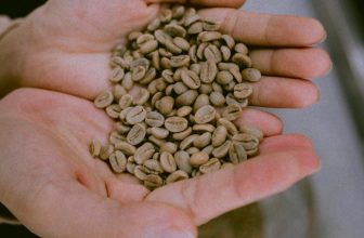 [☕️🇻🇳] Navido Coffee 🥤 Top1Coffee ☕️ Chắc hẳn quán chưa lần nào kể với các bạn những câu chuyện riêng xoay quanh công việc của nhà rang Navido.Tại Navido nhân cà p , shares-0✔️ , likes-16❤️️ , date-2022-09-07 12:12:56🇻🇳🇻🇳🇻🇳📰🆕