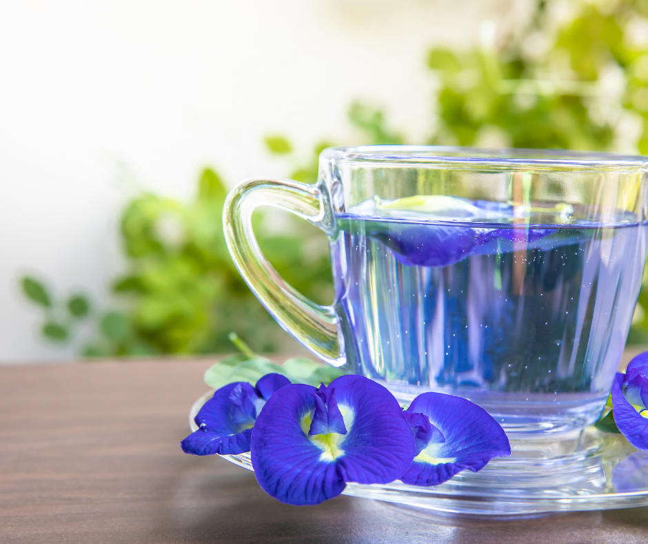 [☕️🇻🇳] GẤU Coffee – Bakery 🥤 Top1Coffee ☕️ Ngày cuối cùng của kỳ nghỉ lễ
, shares-1✔️ , likes-57❤️️ , date-2022-09-04 03:24:12🇻🇳🇻🇳🇻🇳📰🆕