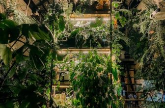 [☕️🇻🇳]1986 Tea-Coffee 🥤 Top1Coffee ☕️ Cuối tuần rồi, đi trốn hoi.
Ghé Sáu chơi năm mười ăn tiền nè mọi người.
, shares-1✔️ , likes-12❤️️ , date-2022-09-23 07:44:05🇻🇳🇻🇳🇻🇳📰🆕