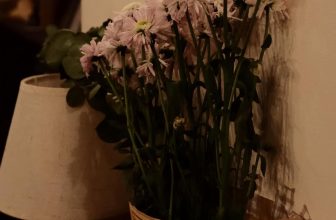 [☕️🇻🇳] Deadline Coffee 🥤 Top1Coffee ☕️ “YOUTH” …..  • #deadlinecoffee
• Giờ hoạt động: 8:00am – 23:00pm
• Hẻm 102/11 Lê Lai
Chạy deadline cùng deadline coffee nà , shares-1✔️ , likes-14❤️️ , date-2022-10-12 10:45:37🇻🇳🇻🇳🇻🇳📰🆕