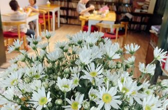 [☕️🇻🇳] Tungbook Coffee Hà Nội 🥤 Top1Coffee ☕️ Cúc hoạ mi đã về ngang mùa phố
Đông đến rồi anh có nắm tay…iem??
, shares-0✔️ , likes-7❤️️ , date-2022-11-19 07:05:43🇻🇳🇻🇳🇻🇳📰🆕