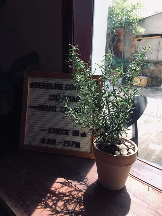 [☕️🇻🇳] GẤU Coffee – Bakery 🥤 Top1Coffee ☕️ Explore the Old Quarter your way#gaucoffeeandbakery #professionalbakers
#coffeeroastery #artisanbaker #barista #chocolatier # , shares-1✔️ , likes-48❤️️ , date-2022-11-09 02:41:31🇻🇳🇻🇳🇻🇳📰🆕