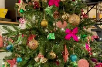 [☕️🇻🇳]1986 Tea-Coffee 🥤 Top1Coffee ☕️ Ai hỏi cái gì to nhất ở 1986 thì đây: cây thông giả trân hàng năm!
, shares-0✔️ , likes-16❤️️ , date-2022-11-13 11:02:16🇻🇳🇻🇳🇻🇳📰🆕