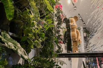 [☕️🇻🇳]1986 Tea-Coffee 🥤 Top1Coffee ☕️ Chắc Q8 mỗi Sáu là không tha thiết với “bánh đa” dù trong quán vẫn có máy chiếu to tổ chảng :))))
Ủa chứ hỏi thiệt mấy trai xi , shares-0✔️ , likes-11❤️️ , date-2022-12-03 12:39:34🇻🇳🇻🇳🇻🇳📰🆕