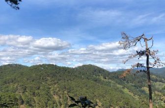 [☕️🇻🇳] Kafeville – Espresso and hand craft coffee bar 🥤 Top1Coffee ☕️ Chúng tôi đã về rồi đây.
Ngày mai team Kafeville sẽ quay trở lại phục vụ mọi người những cốc cà phê thơm ngon tại Yên Ninh.
, shares-0✔️ , likes-35❤️️ , date-2022-12-15 14:40:53🇻🇳🇻🇳🇻🇳📰🆕