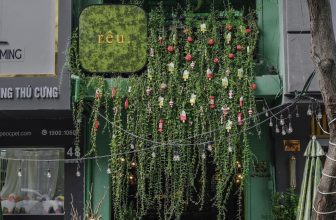 [☕️🇻🇳] r ê u . coffee 🥤 Top1Coffee ☕️ Không khí Sài Gòn đang se lạnh dần, giáng sinh đã đến nơi rồi
r ê u . coffee có không gian ngoài trời, phòng lạnh, ban công nhỏ , shares-49✔️ , likes-938❤️️ , date-2022-12-15 09:07:40🇻🇳🇻🇳🇻🇳📰🆕