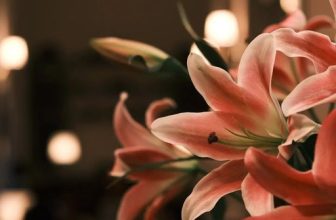 [☕️🇻🇳] 15.22 café – wine – live music ☕️ Top1Coffee ☕️ Nến và hoa
, shares-0✔️ , likes-3❤️️ , date-2022-12-17 12:28:00🇻🇳🇻🇳🇻🇳📰🆕