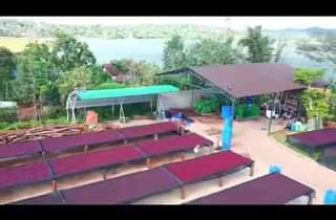 [☕️🇻🇳] AHA Cafe 🥤 Top1Coffee ☕️ Thu hoạch cà phê niên vụ 2022-2023.
www.ahacoffee.com
, shares-0✔️ , likes-27❤️️ , date-2023-01-12 18:18:57🇻🇳🇻🇳🇻🇳📰🆕