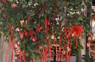 [☕️🇻🇳] Koilands Coffee 🥤 Top1Coffee ☕️ Xuân hạ thu đông rồi lại xuân
Bốn mùa cứ mải miết xoay vần
Đời người trôi nhanh như cơn gió
Không không có có vẫn về không
, shares-2✔️ , likes-15❤️️ , date-2023-01-21 06:43:10🇻🇳🇻🇳🇻🇳📰🆕