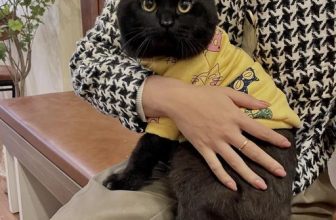 [☕️🇻🇳] Dear November Coffee 🥤 Top1Coffee ☕️ Năm mới chúc cả nhà luôn vui vẻ yêu đời như Quý Mão nhà Đia nhaaa
Hẹn gặp lại mọi người vào mùng 5 nhé
———————————————
Dear N , shares-0✔️ , likes-13❤️️ , date-2023-01-22 10:26:06🇻🇳🇻🇳🇻🇳📰🆕