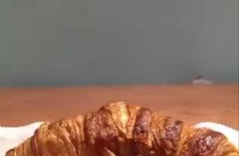 [☕️🇻🇳] Kafeville – Espresso and hand craft coffee bar 🥤 Top1Coffee ☕️  , shares-0✔️ , likes-0❤️️ , date-2023-02-24 04:01:15🇻🇳🇻🇳🇻🇳📰🆕