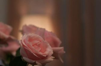 [☕️🇻🇳] 15.22 café – wine – live music ☕️ Top1Coffee ☕️ hồng thơm cả năm.
, shares-0✔️ , likes-2❤️️ , date-2023-01-25 05:53:09🇻🇳🇻🇳🇻🇳📰🆕