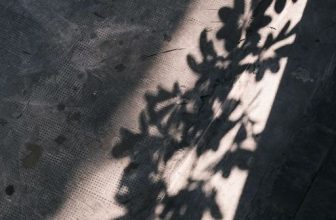 [☕️🇻🇳] 15.22 café – wine – live music ☕️ Top1Coffee ☕️ Nắng chiều hôm nay
, shares-0✔️ , likes-3❤️️ , date-2023-01-29 09:46:57🇻🇳🇻🇳🇻🇳📰🆕