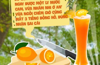 [☕️🇻🇳] AN Garden Cafe 🥤 Top1Coffee ☕️ ĐÚNG NHẬN SAI CÃI VỚI AN’ ĐI Ạ!Bổ quả cam này ra, vắt ngay được một ly nước cam, vừa nhâm nhi ở AN’ vừa ngồi chém gió cũng mấ , shares-0✔️ , likes-3❤️️ , date-2023-02-13 07:00:01🇻🇳🇻🇳🇻🇳📰🆕