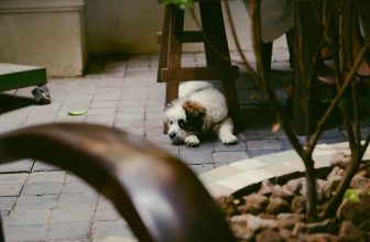 [☕️🇻🇳]  De.TẦM Cafe – Coffee – Bistro 🥤 Top1Coffee ☕️ Này, đã tới thời gian lý tưởng để tận hưởng một ngày nắng ráo ở Hà Nội xinh rồi nhỉ? Hãy để cuối tuần của mình được vô tư mà “lư , shares-1✔️ , likes-18❤️️ , date-2023-02-18 07:16:11🇻🇳🇻🇳🇻🇳📰🆕