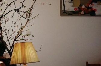 [☕️🇻🇳]  De.TẦM Cafe – Coffee – Bistro 🥤 Top1Coffee ☕️ Mùa hoa ở de.Tầm không ngừng nở rộ qua lăng kính của bất kể ai. Qua từng góc nhìn khác nhau, chúng mình lại cảm nhận được vô vàn , shares-0✔️ , likes-10❤️️ , date-2023-02-19 06:24:04🇻🇳🇻🇳🇻🇳📰🆕