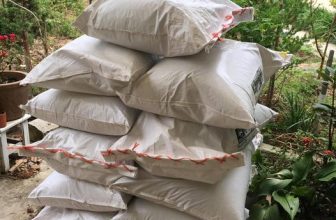 [☕️🇻🇳] Kafeville – Espresso and hand craft coffee bar 🥤 Top1Coffee ☕️ Cập nhật hạt cà phê trong tuần này
– Ethiopia sơ chế khô
– Ethiopia Sơ chế ướt
– Kenya sơ chế ướt
– Panama sơ chế khô
– Vi , shares-1✔️ , likes-33❤️️ , date-2023-02-21 02:52:59🇻🇳🇻🇳🇻🇳📰🆕