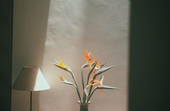 [☕️🇻🇳]  De.TẦM Cafe – Coffee – Bistro 🥤 Top1Coffee ☕️ Phải chăng cứ những ngày đẹp trời đều khiến tâm trạng mình rạng ngời hơn? Tận hưởng những ngày nắng xinh ở sân de.Tầm, bạn đừng  , shares-0✔️ , likes-12❤️️ , date-2023-02-25 08:30:30🇻🇳🇻🇳🇻🇳📰🆕