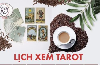 [☕️🇻🇳] Tungbook Coffee Hà Nội 🥤 Top1Coffee ☕️ CƠ HỘI DUY NHẤT: XEM TAROT MIỄN PHÍ chỉ có tại Tungbook coffee.Chỉ còn 2 ngày nữa,  lịch xem tarot MIỄN PHÍ tại Tungbook coffe , shares-1✔️ , likes-3❤️️ , date-2023-02-25 06:33:58🇻🇳🇻🇳🇻🇳📰🆕