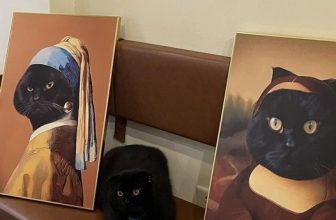 [☕️🇻🇳] Dear November Coffee 🥤 Top1Coffee ☕️ Chân dung chủ quán
———————————————
Dear November Coffee
:
Cơ sở 1: cuối ngõ 59 Chùa Láng
Cơ sở 2: 61 Linh Lang
: 8:30 – 22 , shares-3✔️ , likes-83❤️️ , date-2023-02-27 03:58:58🇻🇳🇻🇳🇻🇳📰🆕