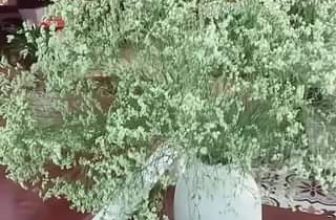 [☕️🇻🇳] Tungbook Coffee Hà Nội 🥤 Top1Coffee ☕️  , shares-0✔️ , likes-1❤️️ , date-2023-03-07 03:30:26🇻🇳🇻🇳🇻🇳📰🆕