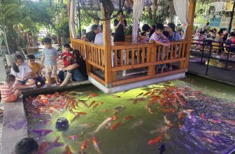 [☕️🇻🇳] Koilands Coffee 🥤 Top1Coffee ☕️  Bạn hỏi tôi sao nhìn tươi tắn
Là do tôi thích ngắm điều vui
Bạn khen tôi hay cười như nắng
Là bởi tôi yêu mến cuộc đời  Đ𝐜:𝟏 , shares-1✔️ , likes-20❤️️ , date-2023-03-07 05:12:13🇻🇳🇻🇳🇻🇳📰🆕