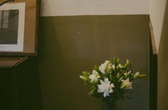 [☕️🇻🇳]  De.TẦM Cafe – Coffee – Bistro 🥤 Top1Coffee ☕️ Một Hà Nội mê say với hoa theo mùa trong nhà mình. Thoảng hương sớm của hoa tự cắm và cây xanh trong veo ở sân vườn, hoàn toàn n , shares-0✔️ , likes-8❤️️ , date-2023-03-19 09:28:38🇻🇳🇻🇳🇻🇳📰🆕