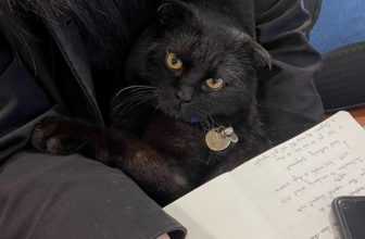 [☕️🇻🇳] Dear November Coffee 🥤 Top1Coffee ☕️ Your study buddy
———————————————
Dear November Coffee
:
Cơ sở 1: cuối ngõ 59 Chùa Láng
Cơ sở 2: 61 Linh Lang
: 8:30 – 22: , shares-0✔️ , likes-24❤️️ , date-2023-03-31 03:41:46🇻🇳🇻🇳🇻🇳📰🆕