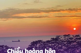 [☕️🇻🇳] Wonders Coffee and Homestay 🥤 Top1Coffee ☕️  Chiều hoàng hôn buông nắng đầy yên ả ngay tại Wonders!Thả mình chìm đắm trong chiếc view hoàng hôn triệu đô ngay tại Wonders , shares-8✔️ , likes-31❤️️ , date-2023-04-11 03:30:02🇻🇳🇻🇳🇻🇳📰🆕