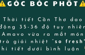 [☕️🇻🇳] Amavo Caffè 🥤 Top1Coffee ☕️  , shares-2✔️ , likes-939❤️️ , date-2023-05-05 23:46:47🇻🇳🇻🇳🇻🇳📰🆕