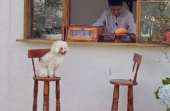 [☕️🇻🇳] Anaiis Concept – Café 🥤 Top1Coffee ☕️ Có những ngày trời âm u lắm, ngày mà ta chợt nhận ra…thương một người, thích một người là bản năng, mà tiếc rằng, ngườ mà ta l , shares-0✔️ , likes-0❤️️ , date-2023-05-07 11:25:49🇻🇳🇻🇳🇻🇳📰🆕