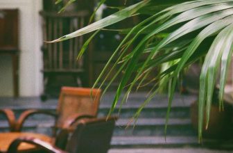 [☕️🇻🇳]  De.TẦM Cafe – Coffee – Bistro 🥤 Top1Coffee ☕️ Mùa hè cứ lấp lửng theo thời tiết, dự báo tuần này vào hạ thật rồi. Ngày chút nắng nóng có gió thoảng theo như rung động trong t , shares-0✔️ , likes-10❤️️ , date-2023-05-16 07:23:14🇻🇳🇻🇳🇻🇳📰🆕