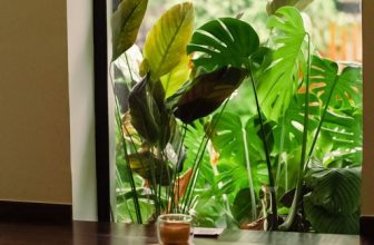 [☕️🇻🇳] The Comma coffee 🥤 Top1Coffee ☕️ A good morning drink can be the anchor in your day.
______
The Comma Coffee
21 Hoa Mai, phường 2, quận Phú Nhuận
Opening ho , shares-0✔️ , likes-12❤️️ , date-2023-05-16 01:13:04🇻🇳🇻🇳🇻🇳📰🆕