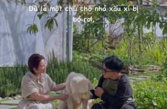 [☕️🇻🇳] Anaiis Concept – Café 🥤 Top1Coffee ☕️ Khi bạn cứu một chú chó, có thể điều đó sẽ không là gì trong thế giới của bạn, nhưng bạn đã thay đổi thế giới của chúng rồi.
— , shares-0✔️ , likes-0❤️️ , date-2023-05-14 02:50:38🇻🇳🇻🇳🇻🇳📰🆕