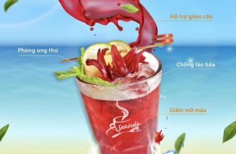 [☕️🇻🇳] Seaside Cafe 🥤 Top1Coffee ☕️  măng cụt,  các loại trái cây tươi, mình đến với Trà thảo dược 𝐇𝐢𝐛𝐢𝐬𝐜𝐮𝐬 cho tuần này nhé!
Trà Atiso đỏ là một nguồn cung cấp vit , shares-5✔️ , likes-8❤️️ , date-2023-05-11 08:04:44🇻🇳🇻🇳🇻🇳📰🆕