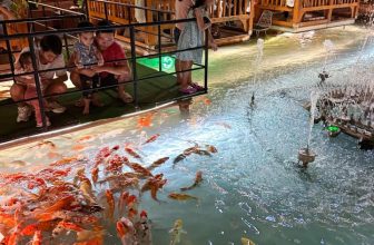 [☕️🇻🇳] Koilands Coffee 🥤 Top1Coffee ☕️  Mùa hè nở hội cỏ cây
Trăm hoa đua nở dưới mây nhẹ nhàng
Xôn xao gió gọi nắng vàng
Bướm ong phất phới rộn ràng hoà ca
chim chó , shares-2✔️ , likes-15❤️️ , date-2023-05-12 13:18:37🇻🇳🇻🇳🇻🇳📰🆕