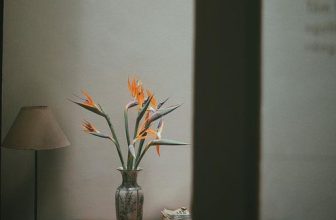 [☕️🇻🇳]  De.TẦM Cafe – Coffee – Bistro 🥤 Top1Coffee ☕️ Những ngày ở de.Tầm gói gọn từng bình yên xen kẽ. Trong suốt những ngày chúng mình làm quen các bạn khách, không ít những câu ch , shares-1✔️ , likes-7❤️️ , date-2023-05-28 10:16:53🇻🇳🇻🇳🇻🇳📰🆕