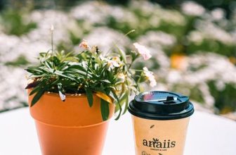 [☕️🇻🇳] Anaiis Concept – Café 🥤 Top1Coffee ☕️ 𝐍𝐚̆𝐧𝐠 𝐥𝐮̛̣𝐜 𝐲𝐞̂𝐮Người ta có đồng hành lâu dài hay không là do
năng lực thấu cảm và lắng nghe nhau. Để làm được như vậy, ta ph , shares-1✔️ , likes-11❤️️ , date-2023-05-28 04:15:27🇻🇳🇻🇳🇻🇳📰🆕