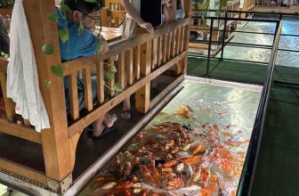 [☕️🇻🇳] Koilands Coffee 🥤 Top1Coffee ☕️  Hạnh phúc không phải là tấm chăn chật, người nọ kéo đắp cho người kia
Hạnh phục là sự cộng  hưởng , như 1 bản hoà ca của tâm h , shares-5✔️ , likes-16❤️️ , date-2023-05-29 04:07:37🇻🇳🇻🇳🇻🇳📰🆕