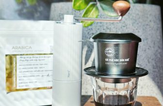 [☕️🇻🇳] Cà phê Đồng Xanh – Greenfields Coffee 🥤 Top1Coffee ☕️ Special Blend Coffee tháng 6 có gì? Fine Robusta và Arabica Specialty Coffee VietnamTây Nguyên là nơi có khí hậu thuận lợi cho , shares-0✔️ , likes-22❤️️ , date-2023-06-02 02:31:09🇻🇳🇻🇳🇻🇳📰🆕