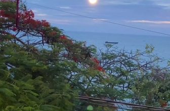 [☕️🇻🇳] Wonders Coffee and Homestay 🥤 Top1Coffee ☕️ ” … Tìm lại ngày tháng dấu yêu ngày xưa
Tìm một thời đã ghi dấu bao mộng mơ
Tìm một hạnh phúc chưa có bao giờ
Tìm lại rực rỡ n , shares-16✔️ , likes-82❤️️ , date-2023-05-31 13:12:40🇻🇳🇻🇳🇻🇳📰🆕