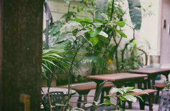 [☕️🇻🇳]  De.TẦM Cafe – Coffee – Bistro 🥤 Top1Coffee ☕️ Mưa của đầu tuần thong thả để kịp tiếp sức cho những ngày nắng khô khan. Cái không khí của mùa hè năm nay thật lạ lùng, thoáng c , shares-0✔️ , likes-11❤️️ , date-2023-06-05 08:39:02🇻🇳🇻🇳🇻🇳📰🆕