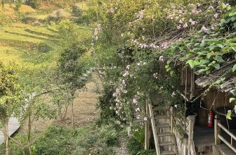 [☕️🇻🇳] La Dao Spa – Coffee House, homestay 🥤 Top1Coffee ☕️ Bỏ phố về bản để kiếm tìm sự bình yên ấy  Yêu lắm sự trong trẻo không khói bụi
Yêu lắm nơi góc bản không ồn ào  Tất cả chỉ có ở , shares-0✔️ , likes-33❤️️ , date-2023-06-15 03:00:00🇻🇳🇻🇳🇻🇳📰🆕