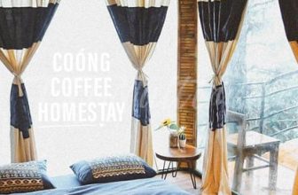 [☕️🇻🇳] Coóng Coffee Homestay  🥤 Top1Coffee ☕️ Trải nghiệm “ ngôi nhà giữa rừng thông” cùng những ưu đãi khủng đến từ Coóng:-Giảm giá ngay 10% dịch vụ đồ ăn, đồ uống với nh , shares-0✔️ , likes-472❤️️ , date-2023-08-26 07:30:51🇻🇳🇻🇳🇻🇳📰🆕