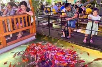 [☕️🇻🇳] Koilands Coffee 🥤 Top1Coffee ☕️ Trong muôn ngàn bông hoa, lương thiện là bông hoa xinh đẹp nhất. Trong vô vàn món quà, thương nhau chân thành là quý giá nhất.
, shares-5✔️ , likes-10❤️️ , date-2023-06-24 03:46:42🇻🇳🇻🇳🇻🇳📰🆕